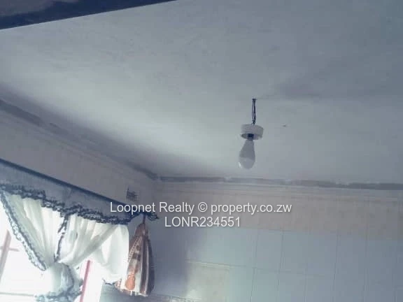 1,384m² Marlborough Stand with Brick Cottage & Services