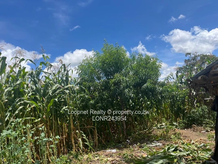 Crowhill Views 1000m² Stand