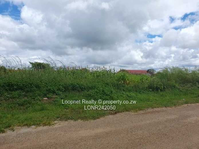 Subdivided Stands For Sale