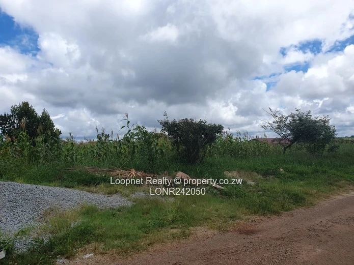 Subdivided Stands For Sale