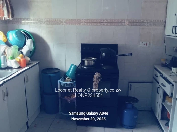 1,384m² Marlborough Stand with Brick Cottage & Services