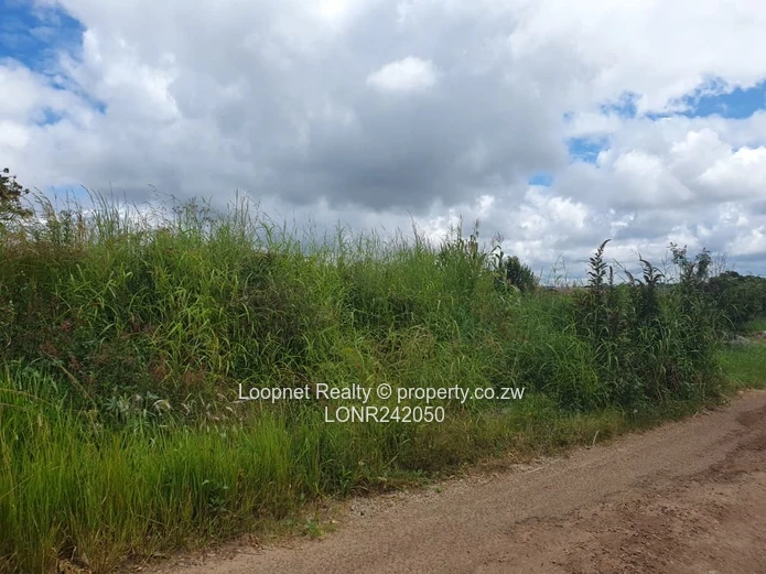 Subdivided Stands For Sale