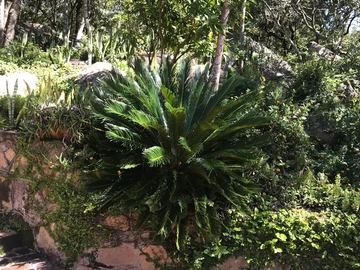 Farm & Agricultural Land