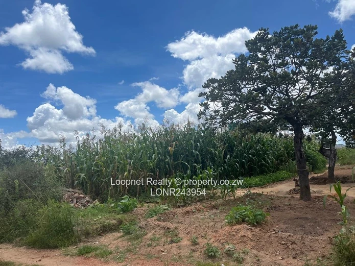 Crowhill Views 1000m² Stand