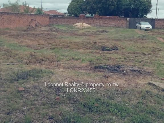 1,384m² Marlborough Stand with Brick Cottage & Services