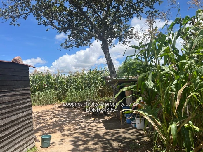 Crowhill Views 1000m² Stand