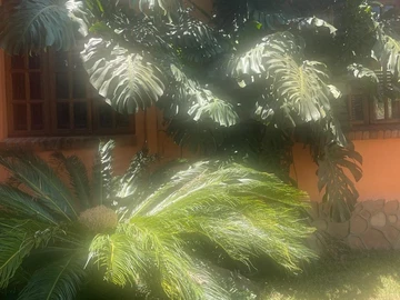 Farm & Agricultural Land