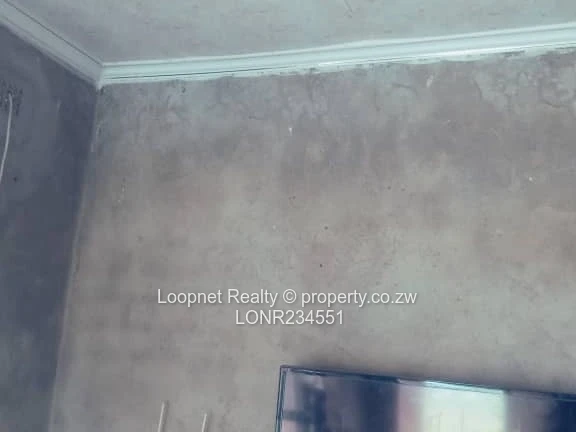 1,384m² Marlborough Stand with Brick Cottage & Services