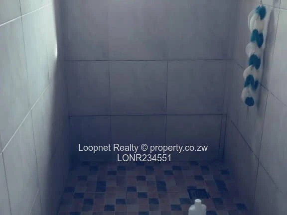 1,384m² Marlborough Stand with Brick Cottage & Services