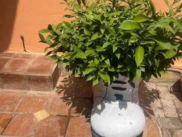 Farm & Agricultural Land