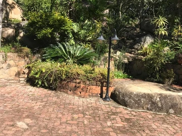 Farm & Agricultural Land