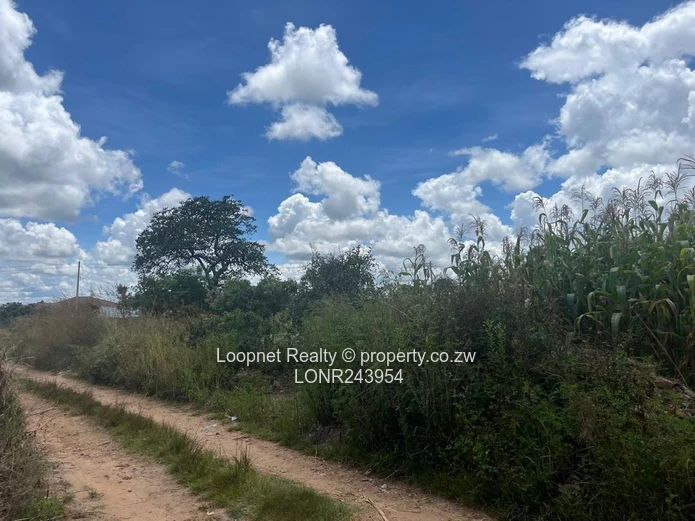 Crowhill Views 1000m² Stand